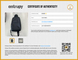 Louis Vuitton Avenue Sling Bag In Damier Graphite Coated Canvas Fw0826ixzdu Entrupy Certificate