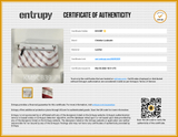 Christian Louboutin Gaagal Print Funky Crossbody Bag Sd0326rzxde Entrupy Certificate