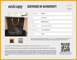 Louis Vuitton Sac Plat Handbag In Monogram Coated Canvas Fw0626eordu Entrupy Certificate