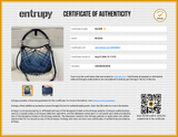 Burberry Nova Pop Degrade Craigwell Hobo Shoulder Bag Eb0926lrxsa Entrupy Certificate