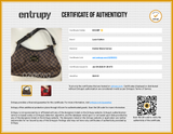 Louis Vuitton Damier Ebene Thames Shoulder Bag Eb0226rxzde Entrupy Certificate