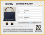 Salvatore Ferragamo Au-21 615 5 Blue Handbag Aa0826lzxsa Entrupy Certificate