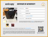 Louis Vuitton Pam Springs Brown Monogram Backpack Do0626cxzde Entrupy Certificate
