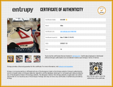 Nike Air Jordan 4 Retro Red Cement Dh6927-161 Sneakers Size 10 Sd0626rzde Entrupy Certificate