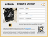Salvatore Ferragamo Gancio Studded Black Leather Bucket Bag Eb1225wrxde Entrupy Certificate