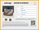Louis Vuitton Damier Ebene Speedy 30 Top Handle Bag Eb0826rxzsa Entrupy Certificate