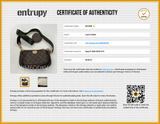 Louis Vuitton Multi Pochette Accessoires In Monogram Coated Canvas Fw0926ccrdu Entrupy Certificate