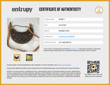 Louis Vuitton Monogram Loop Shoulder Bag Eb0726liwxde Entrupy Certificate
