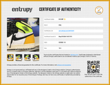 Nike Air Jordan 1 Retro High Og Sneakers Size 10.5 Us Sd0626rzdu Entrupy Certificate