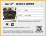 Louis Vuitton Icare Travel Briefcase In Damier Ebene Coated Canvas Fw0626rxzdu Entrupy Certificate