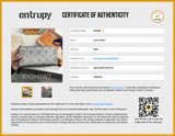 Louis Vuitton Zippy Wallet In Metallic Grey Mahina Perforated Leather Fw526psxdu Entrupy Certificate