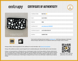 Louis Vuitton Yayoi Kusama Infinity Dots Muilt Pochette Accessories Eb0726lwxzsa Entrupy Certificate