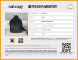 Chanel Coco Cocoon Nylon Bacpack Black Aa1025erzsa Entrupy Certificate