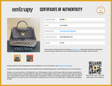 Louis Vuitton Damier Ebene Canvas Bergamo Pm Bag Sd0726esrdu Entrupy Certificate