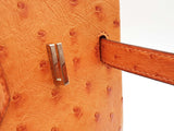 Hermes Birkin 35 Tangerine Orange Ostrich Palladium Handbag Do0126lirxzde