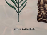 Hermès Index Palmarum 90cm Scarf In Multicolor Silk Twill Fw1026lxzdu