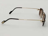 Cartier Ct0498s 005 Gold Sunglasses With Case Aa0826przsa