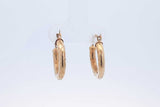 10k Yellow Gold Hoop Earrings 1.3 Grams Eb0626irde