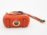 Orange Doggie Bag Holder Mini Bag Charm Do0925cde