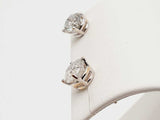 14k White Gold Diamonds Double Stud Screw Back Earrings Dolrzxde 144020006974