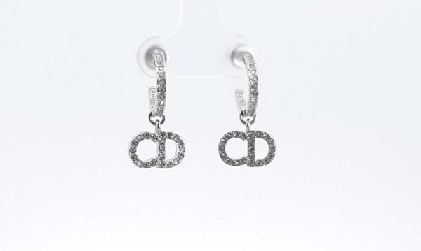 Dior Clair D Lune Cubic Zirconia Silver Tone Earrings Eblrxdu 144030003631